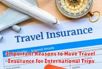 Important Reasons to Have Travel Insurance for International Trips Important Reasons to Have Travel Insurance for International Trips