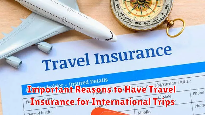 Important Reasons to Have Travel Insurance for International Trips